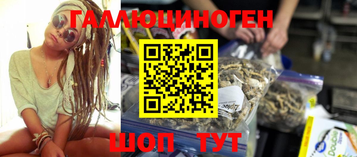 Галлюциногенные грибы GOLDEN TEACHER Кольчугино