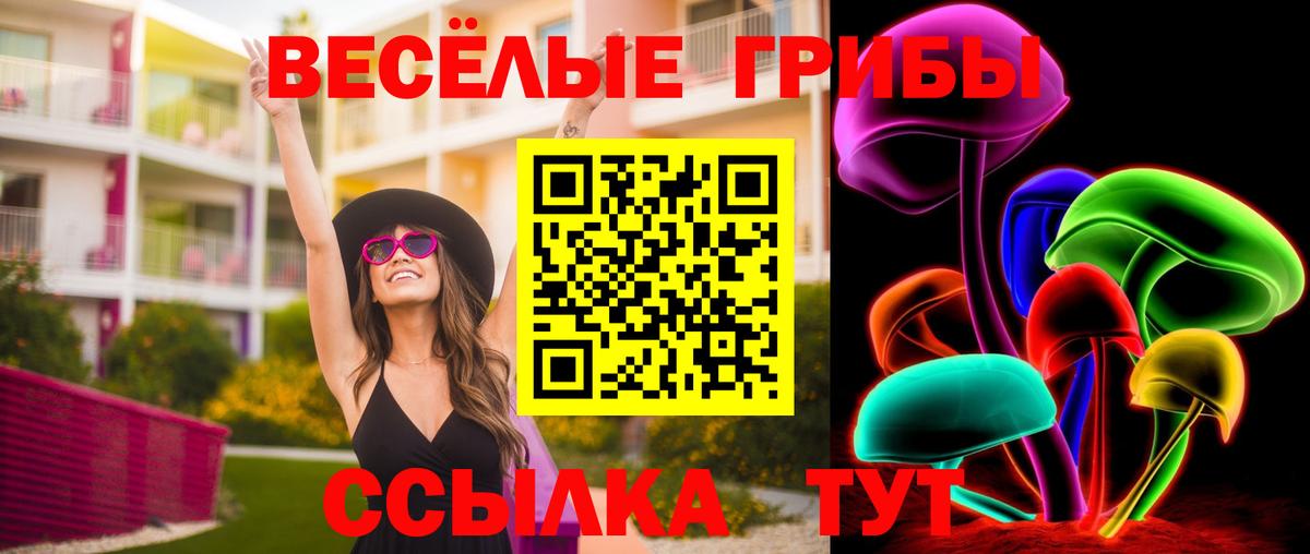Галлюциногенные грибы прущие грибы  где найти наркотики  Кольчугино  Вход с VPN 